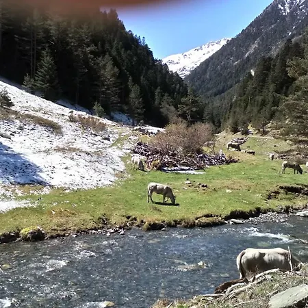 Reflets Montagnards